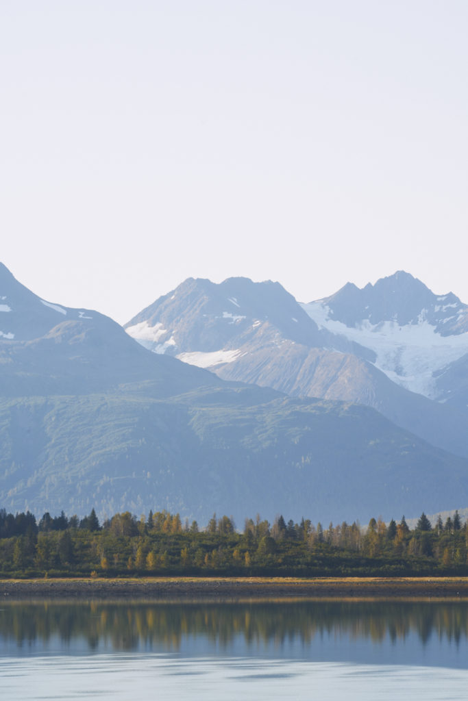 Glacier Bay National Park / See and Savour