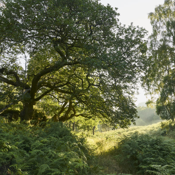 Beautiful trails in Lake District / See and Savour