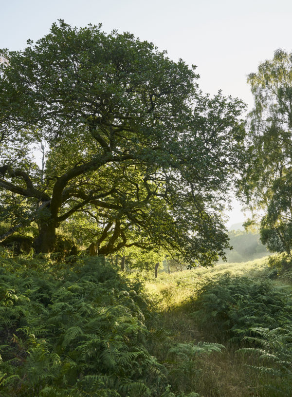 Beautiful trails in Lake District / See and Savour