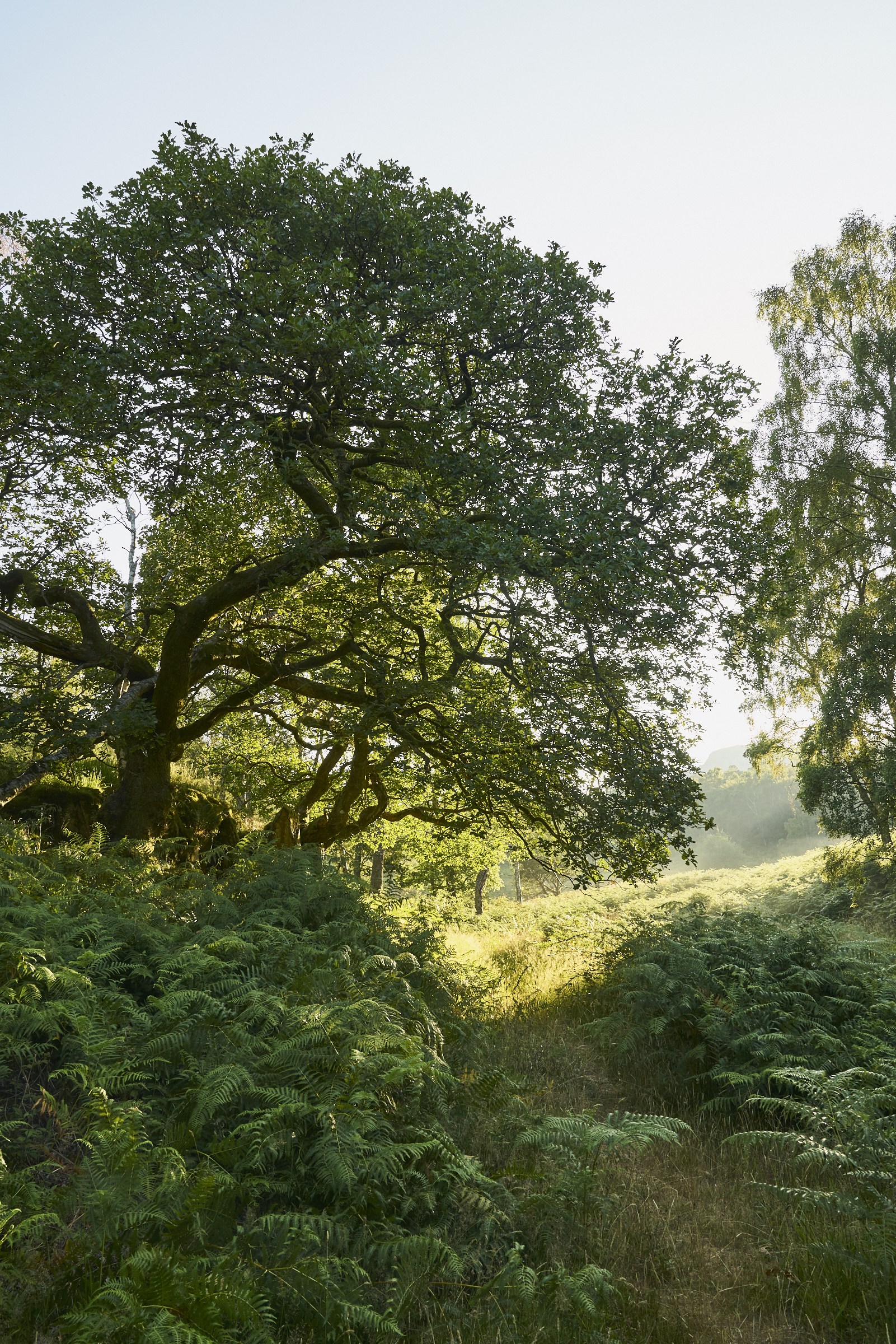 Beautiful trails in Lake District / See and Savour