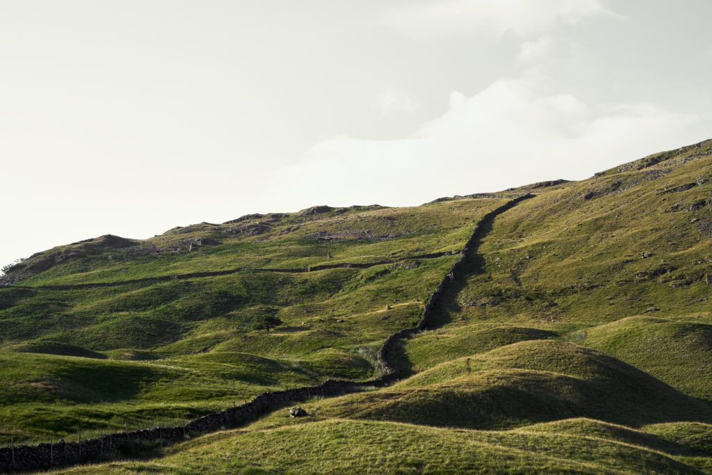 Lake District Views / See and Savour