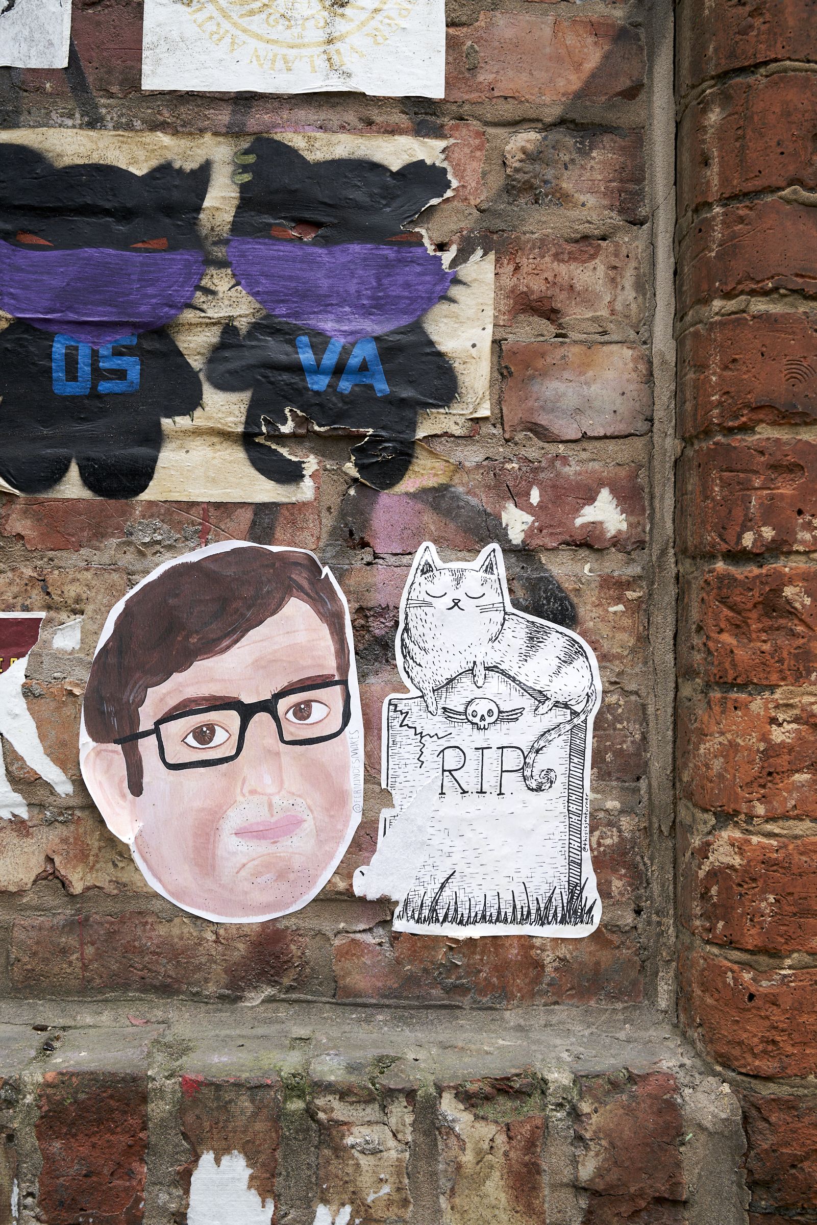 Street Art of Northern Quarter #Manchester – cute adorable #cat graphic / See and Savour