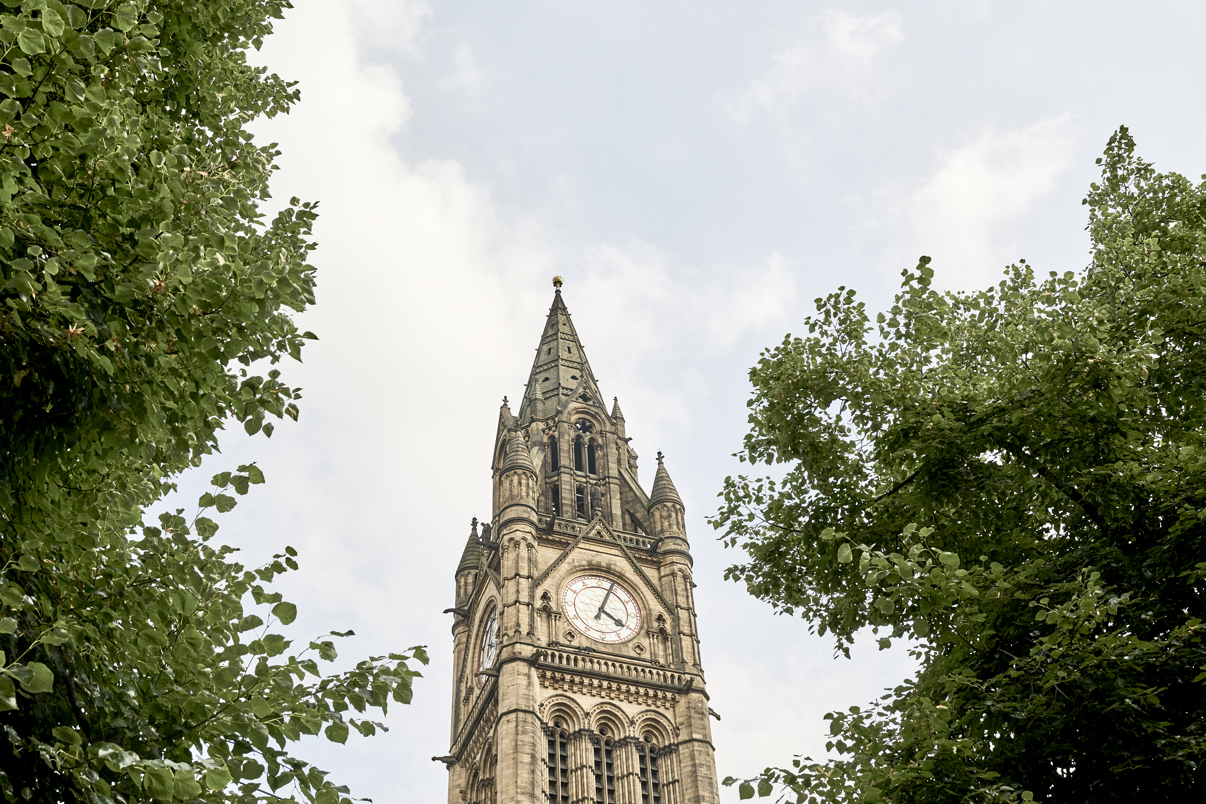 Manchester City Hall / See and Savour